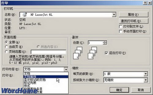怎样在Word2007中选择打印内容