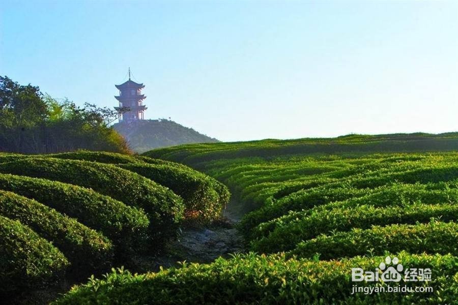 雅安旅游攻略自驾游