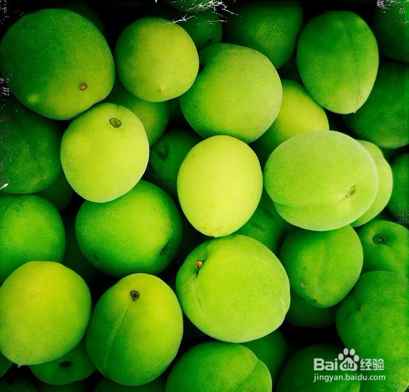 浙江长兴旅游攻略