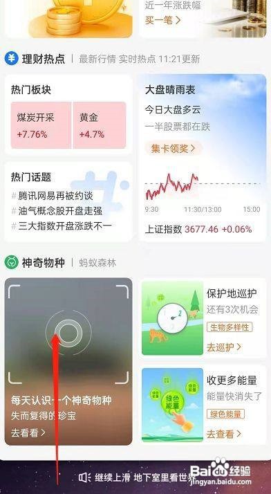 支付宝如何查看开学标签