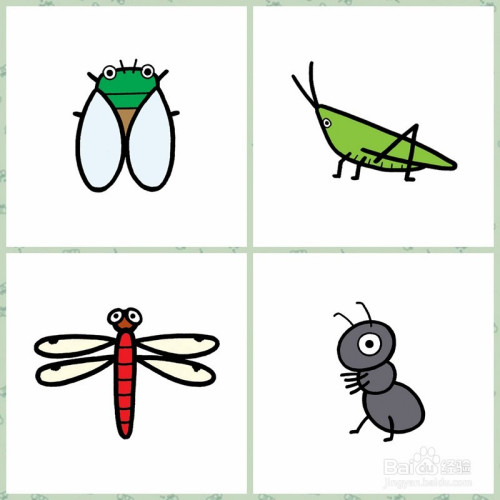 【简笔画】昆虫,鸟类,鱼类的画法