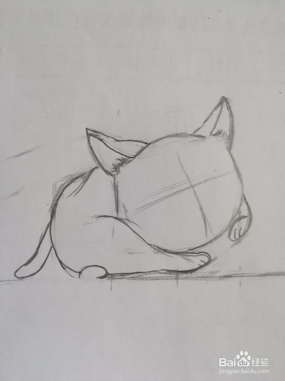 傲娇的小猫画法教程（2）——成型