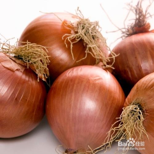 洋葱有什么健康营养