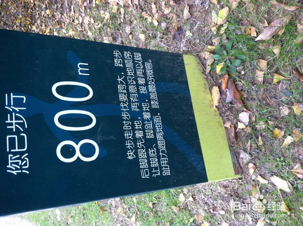 如何在冬季进行早锻炼，让心情愉悦