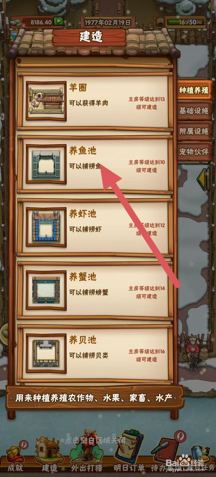 外婆的小农院怎样建造【养鱼池】