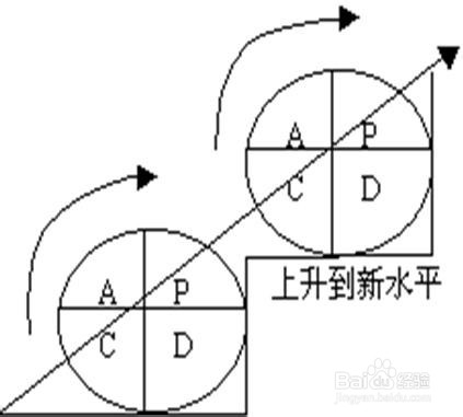 什么是PDCA (戴明环)#管理过程