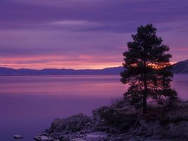 投稿小妙招,提高成交