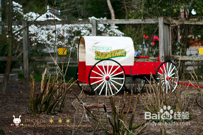 拾海的孩子&亲亲小动物(组图)