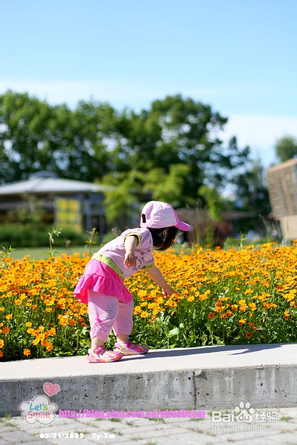 温哥华伊丽莎白女皇公园--摄影胜地(多图)