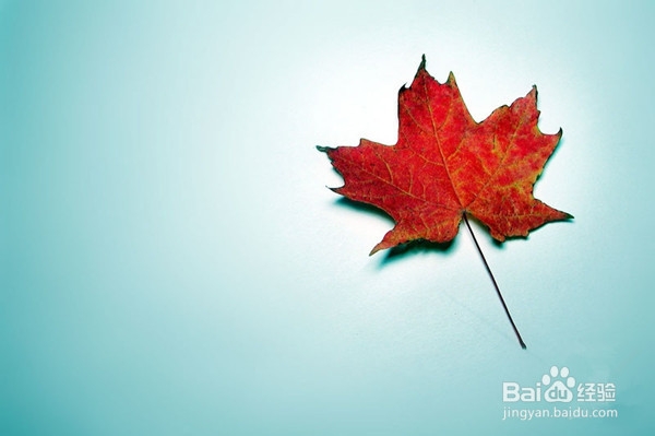 葡萄酒背标怎么看？