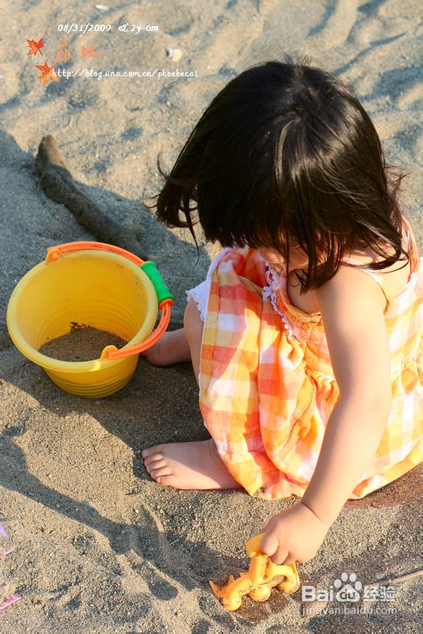 海边的进步(组图)