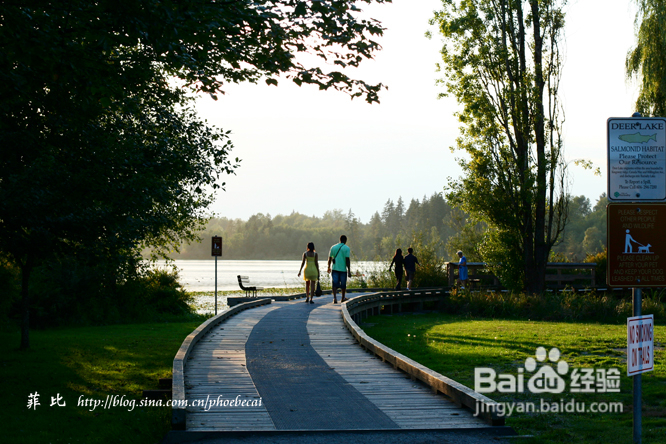 温哥华鹿湖Deer Lake 黄昏漫步(组图)