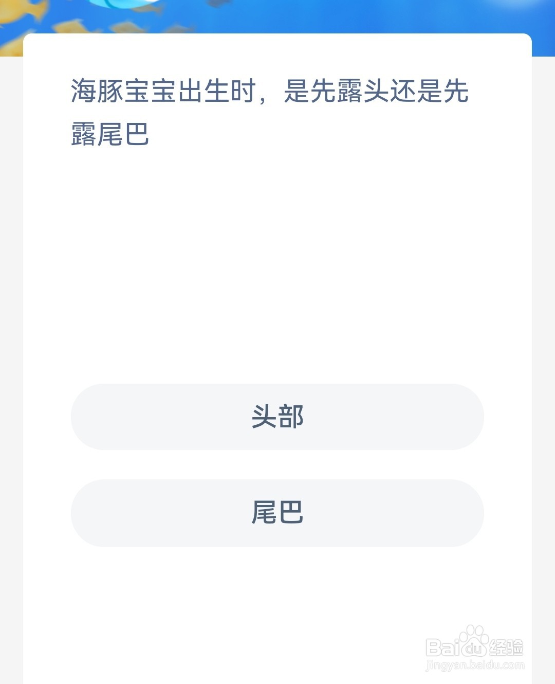 海豚宝宝出生时是先露头还是先露尾巴 神奇海洋
