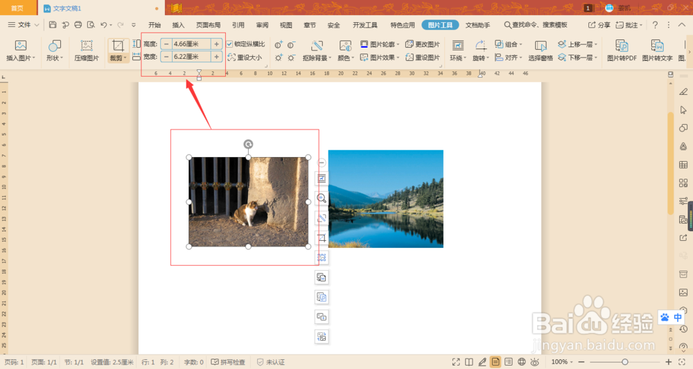 Word如何让两张图片在不裁剪的情况下宽高相同