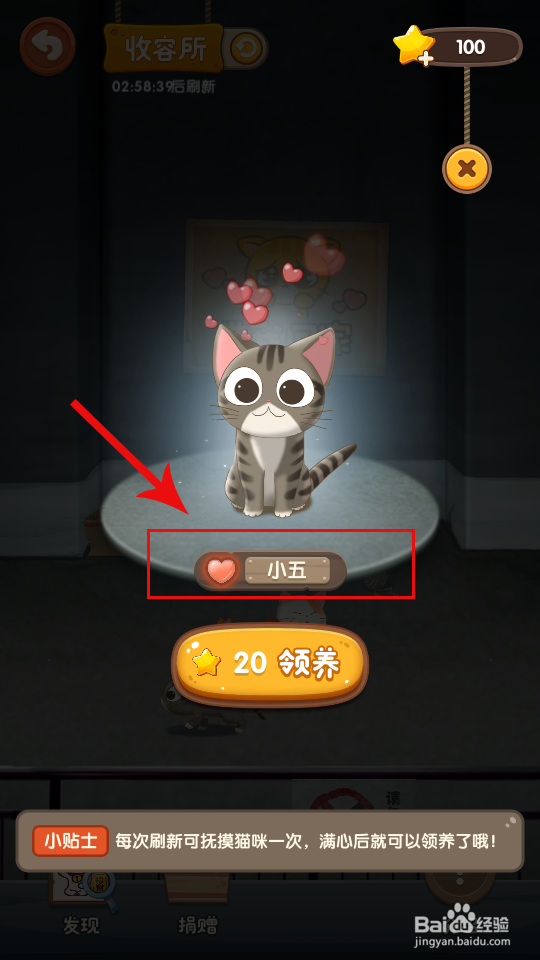 猫语咖啡怎么领养猫