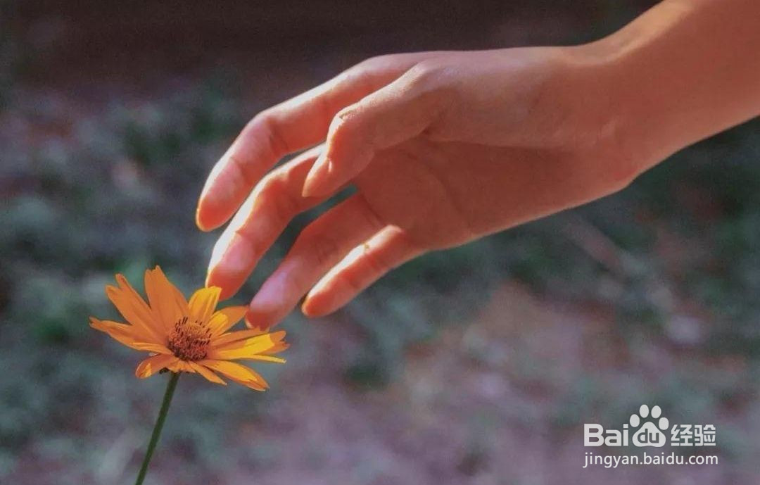 怎样才能放下心里的伤