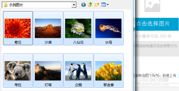 如何正确的使用百度云相册