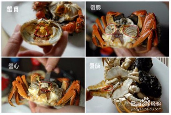 螃蟹怎么吃吃螃蟹攻略