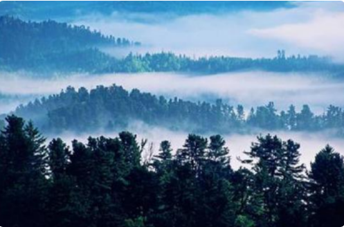 封字用得形象，让我感受到小兴安岭的树木长得