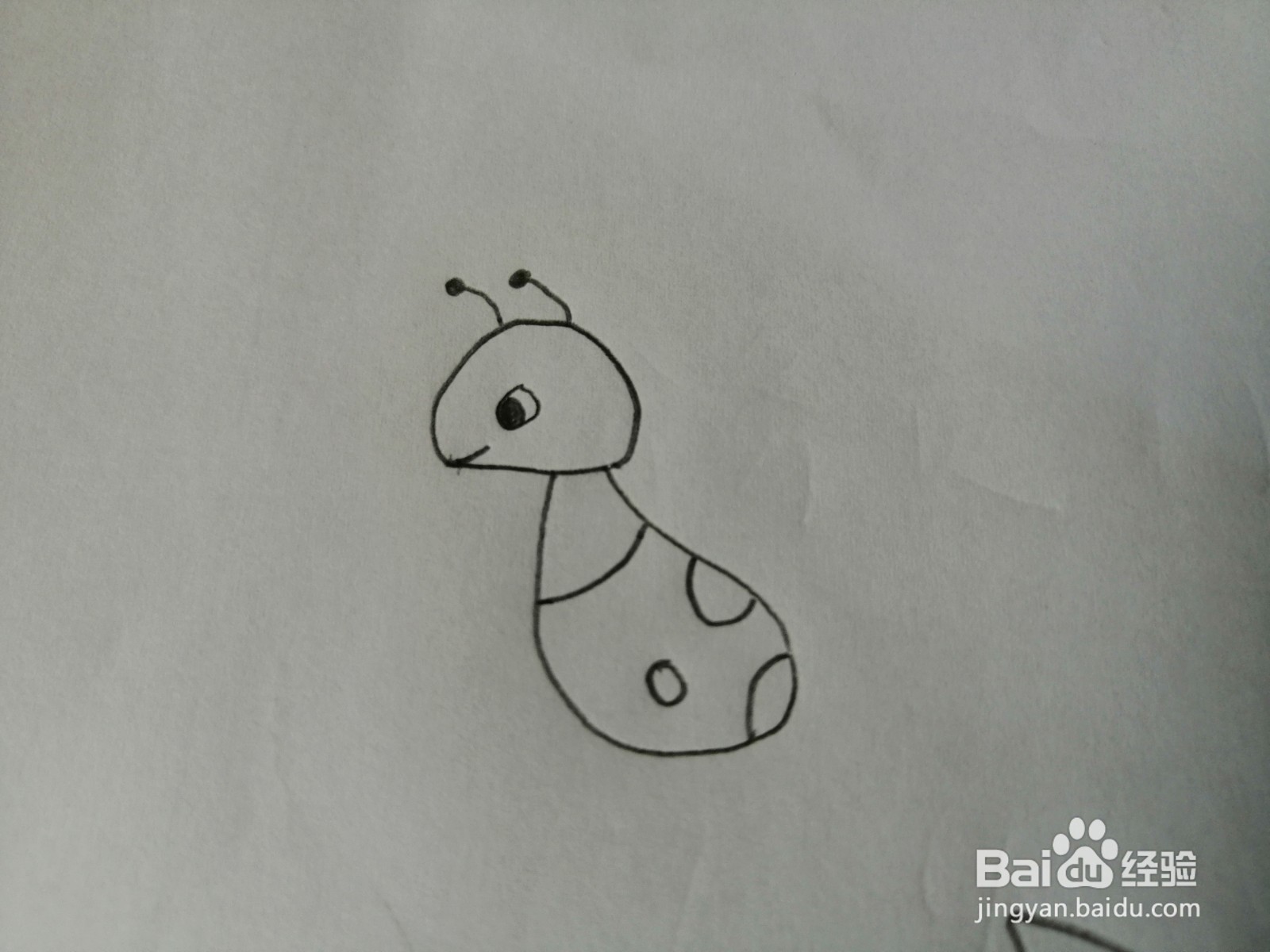 简笔画-可爱卡通蚂蚁简笔画