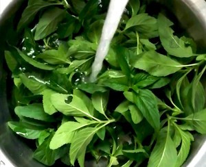 薄荷奶冻的做法