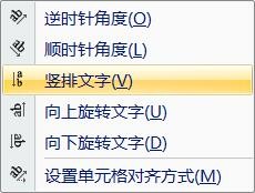 Excel：竖排文字