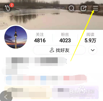 怎样查看美篇花瓣收入和支出的明细情况?