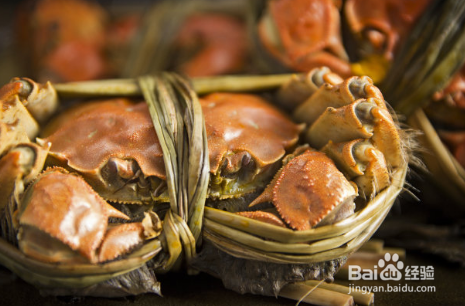 不安腿综合征老年人常见疾病