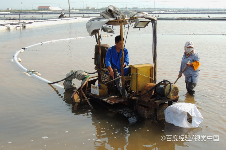 低钠盐是“送命盐”吗