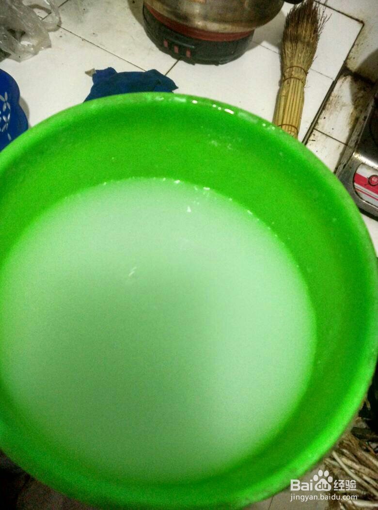 养龟让你的生活别具一格