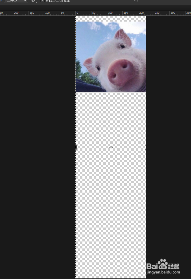 ps怎样快速调整画布大小