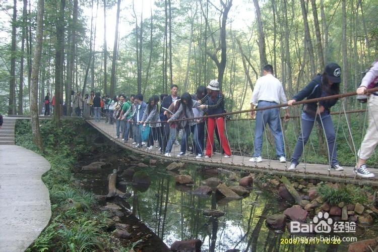 长春到张家界自驾游