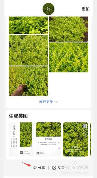 华为p40相机怎么识别不知名的花草