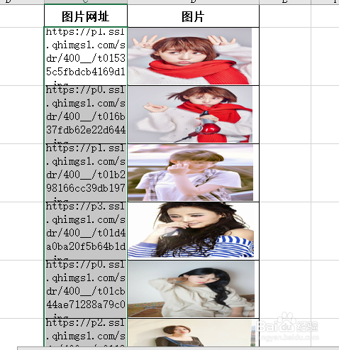 Excel如何批量导入网页图片