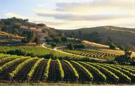 学院街攻略：[57]阿德雷德大学娱乐攻略