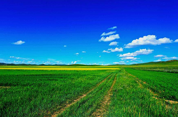 描写呼伦贝尔草原的诗句