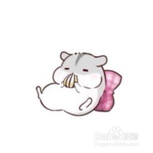 仓鼠受伤流血怎么办