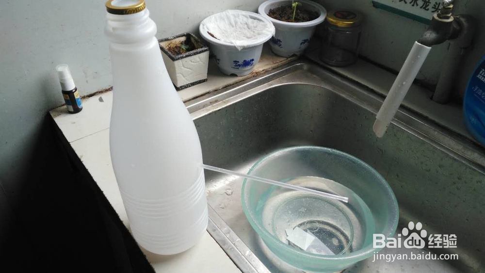 简易自动灌溉器