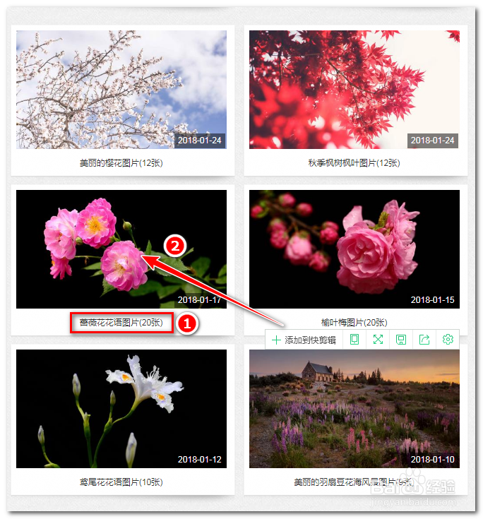 如何用IDM批量下载壁纸