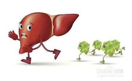 乙肝有哪些传播途径呢？