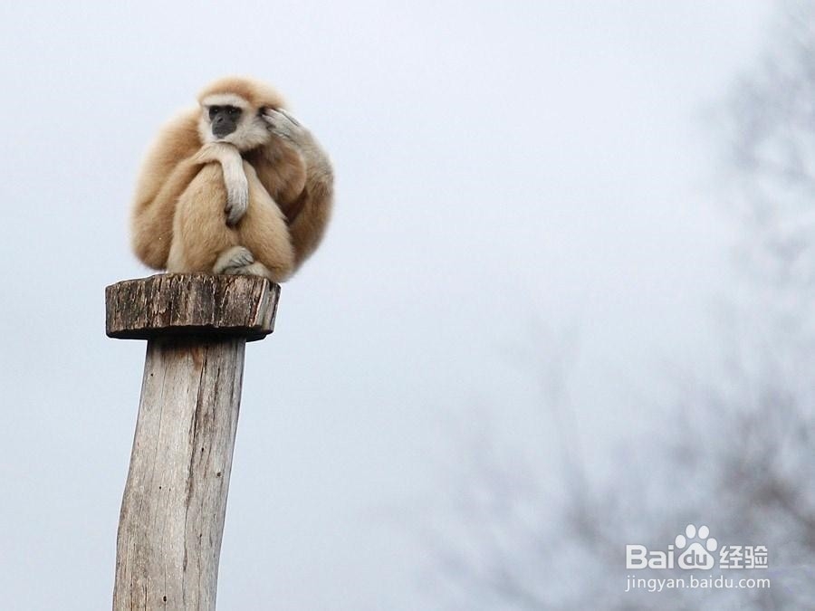 如何缓解工作压力大