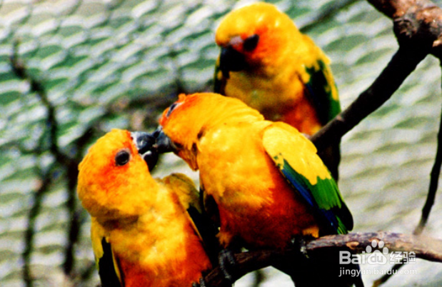 如何理智处理夫妻间的情感问题？第三者插足咋办