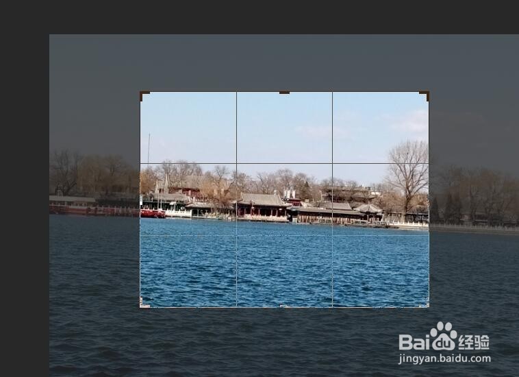 如何使用PS裁剪图片?