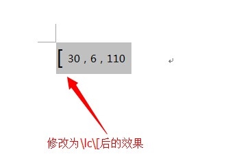 Word域代码特殊指令详解之二：\B括号开关