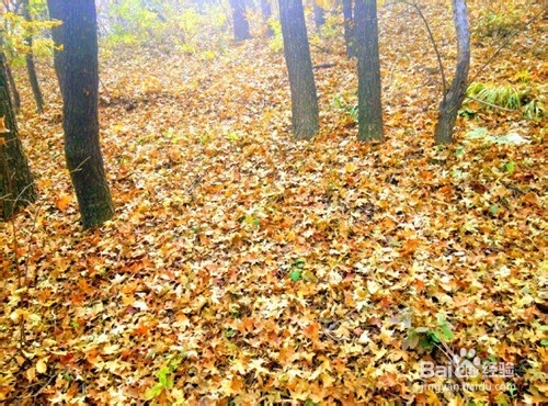 爬山新手注意事项
