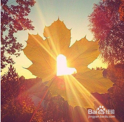 考研党：如何为保研做一些准备