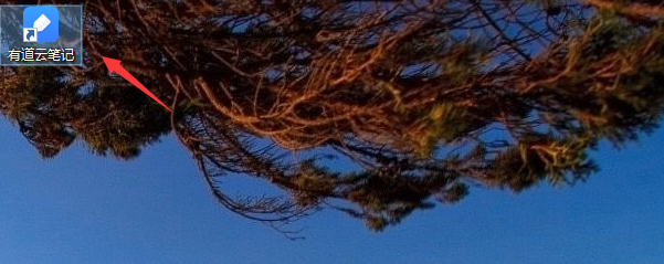 有道云笔记如何设置自动检查客户端更新