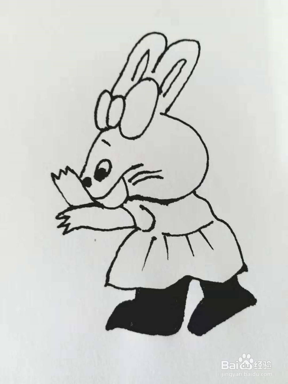 卡通兔的简笔画法《三》