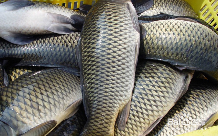 吃什么食物可以缓解脑疲劳