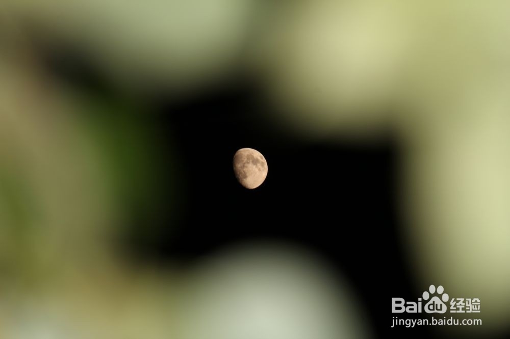 如何给晚上的月亮加上一层背景（摄月教学）